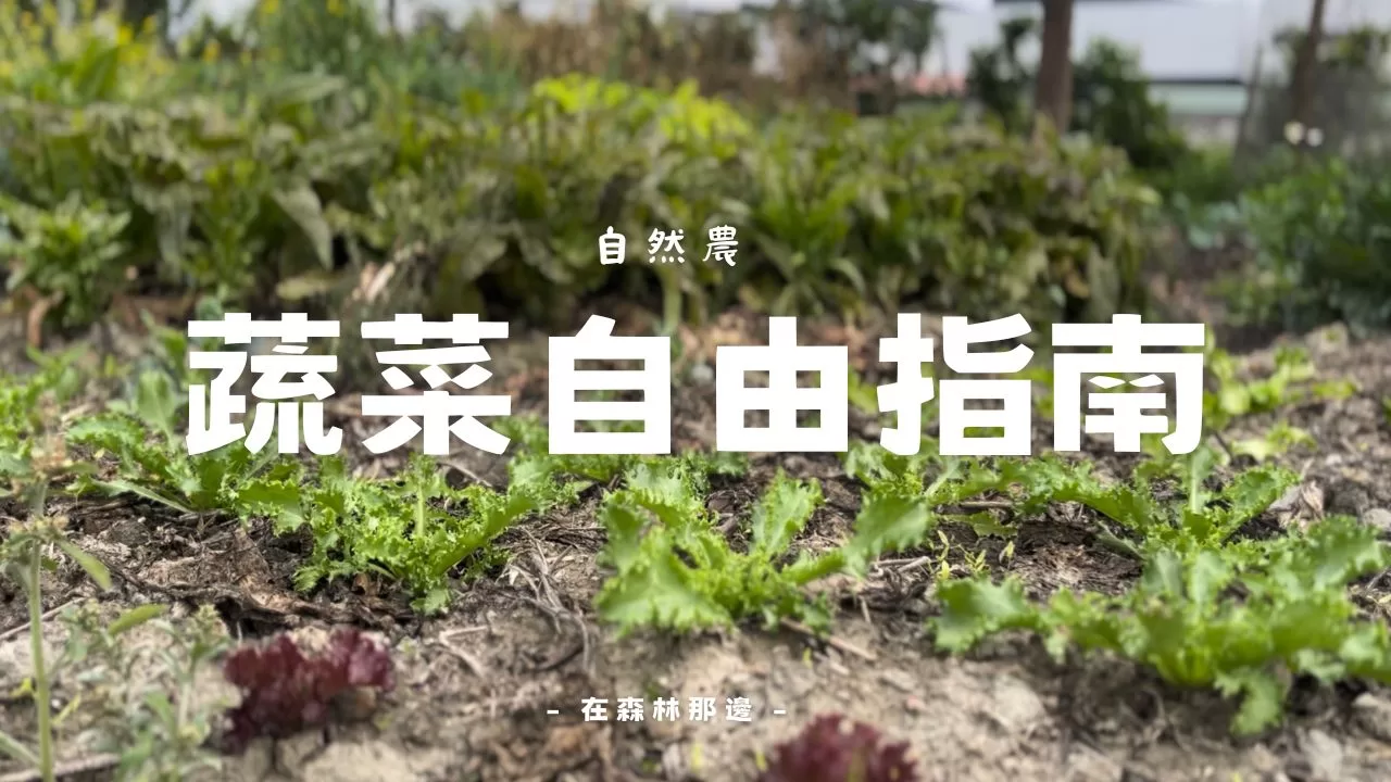 【蔬菜自由指南】用對方法,天天都有新鮮蔬菜!自然農法的育苗關鍵技巧
