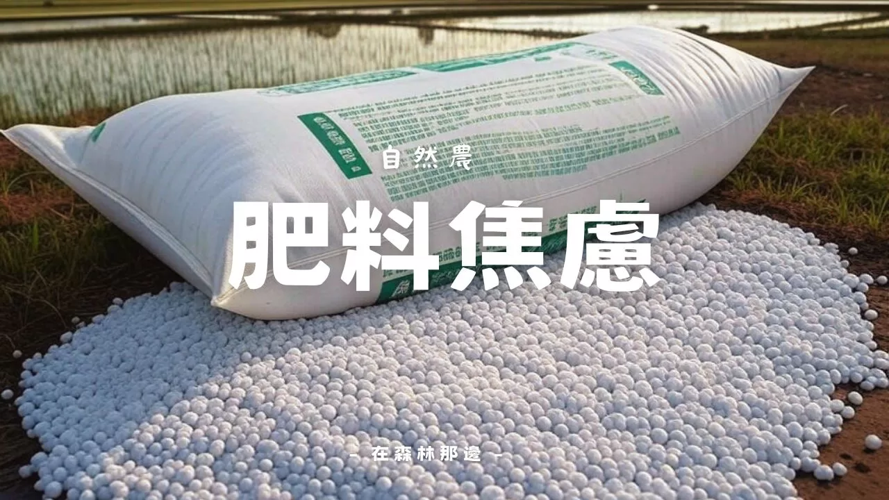 你真的需要肥料嗎?自然農法下的「肥料焦慮」思考