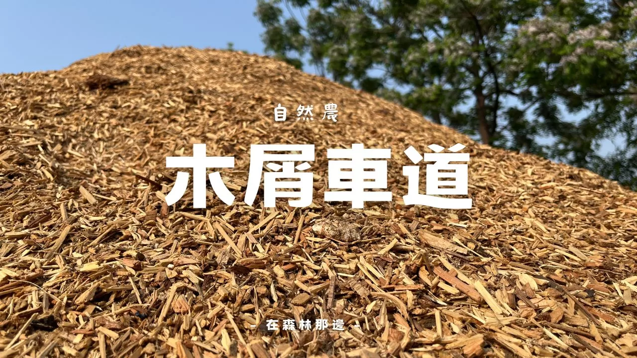 【自然農法實作】只靠木屑,打造出雨天也不爛的農場車道!不花錢又環保!